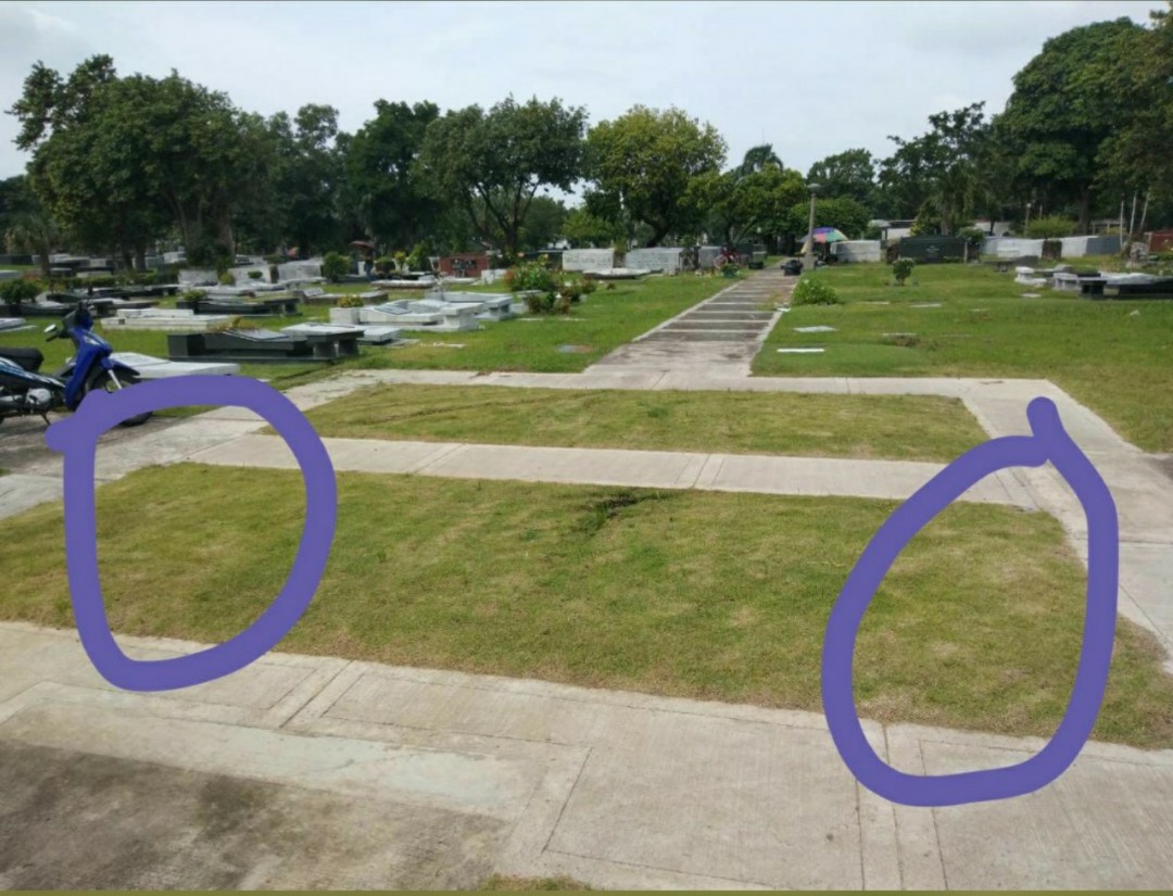 Manila Memorial Lot Parañaque, Property, For Sale, Memorial Lot on
