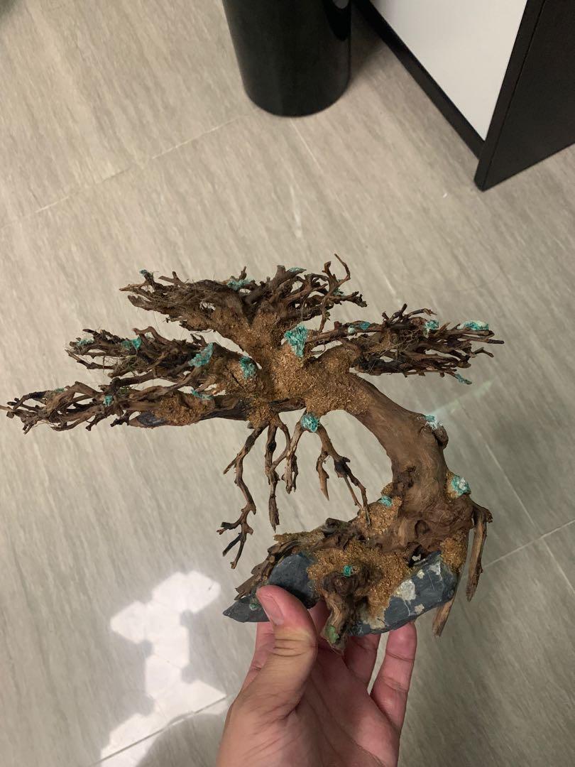 水族造景樹巴西沉木流木迎客松造型driftwood Aquascaping Aquatic Garden 寵物用品 寵物飾物 Carousell