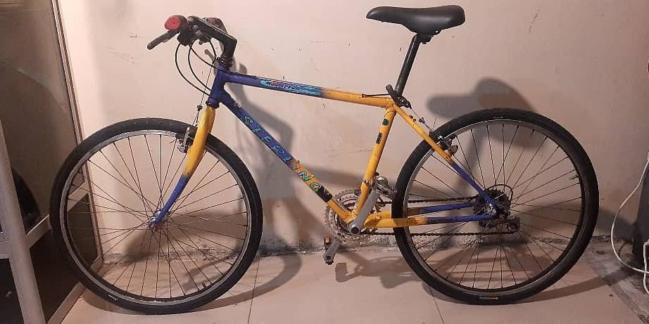fuji retro bike