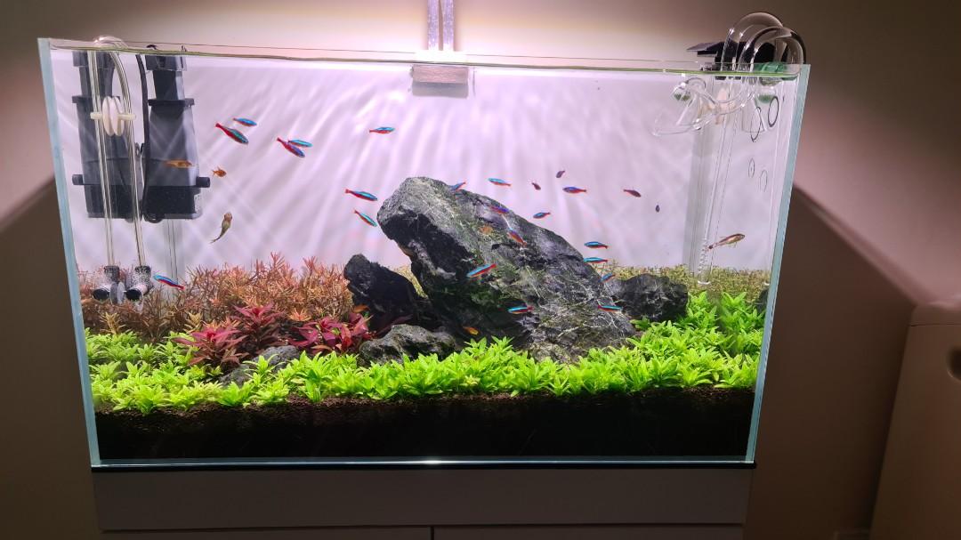 Crystal clear aquarium clearance