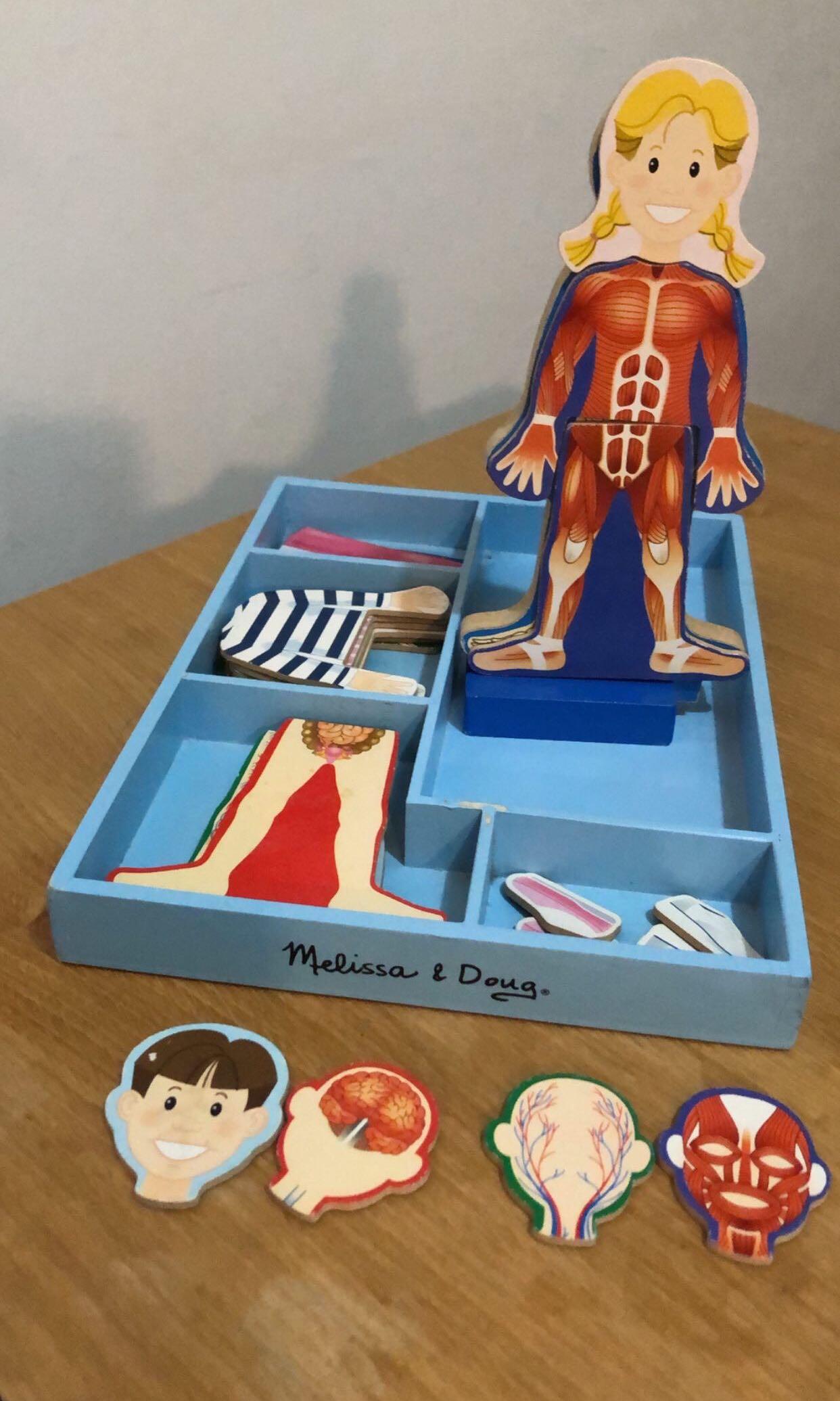 Melissa and doug hot sale magnetic human body