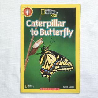 National Geographic Kids Caterpillar to Buttefly (Level 1) by Laura Marsh - Children’s Book, Books, Scholastic
