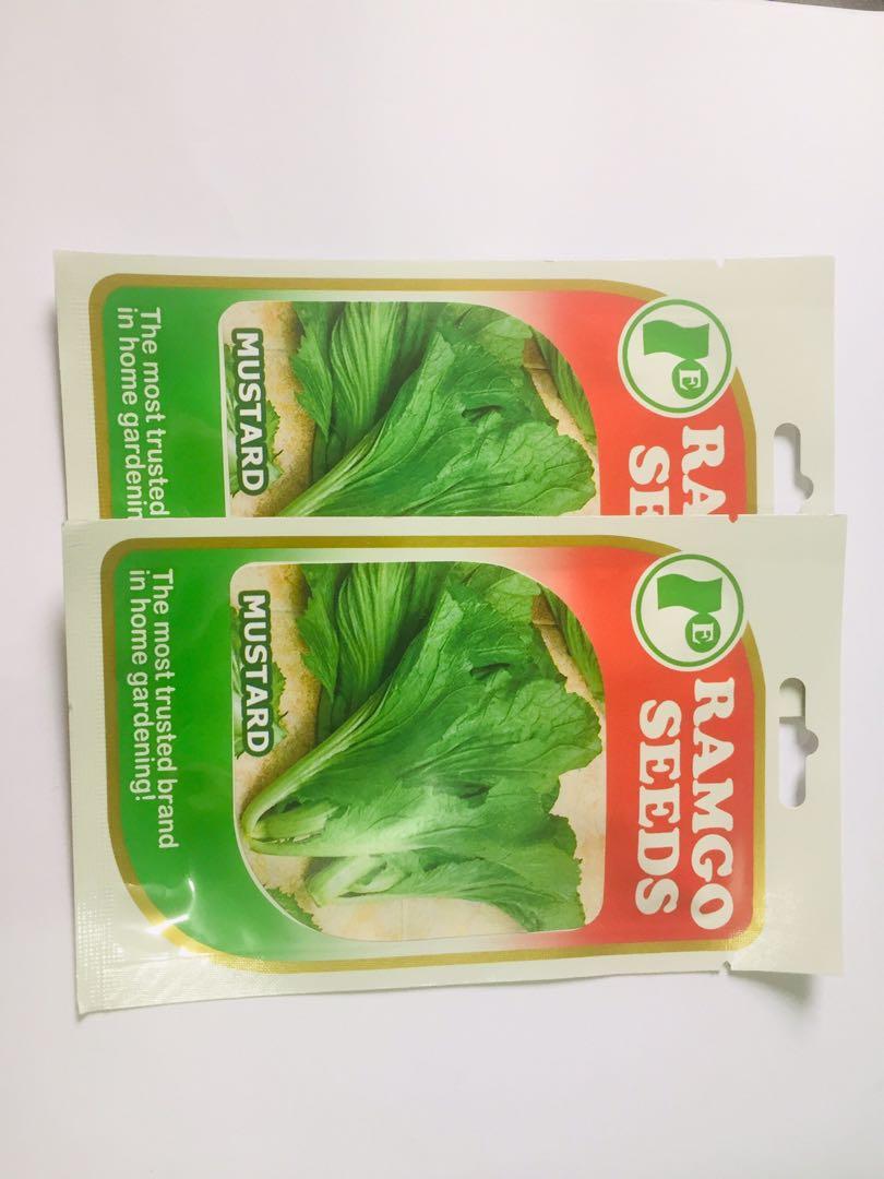 Ramgo Mustard seeds (Category: Plants & Seeds) located in Navotas City. Submitted by user009x (Listing ID 1077649942, Image 1). Description: Ramgo Mustard seeds Bargain for bulk orders Shipping nation wide Sow before 2023.