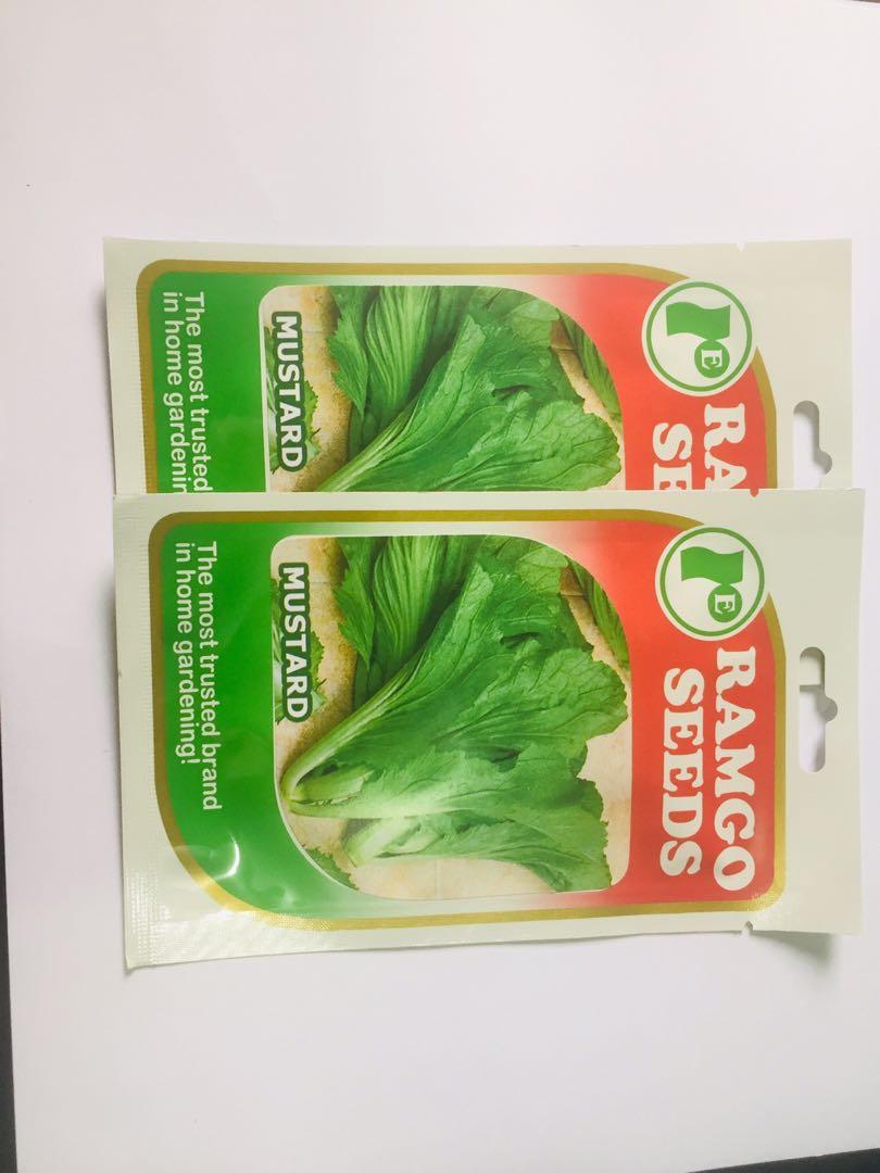 Ramgo Mustard seeds (Category: Plants & Seeds) located in Navotas City. Submitted by user009x (Listing ID 1077649942, Image 2). Description: Ramgo Mustard seeds Bargain for bulk orders Shipping nation wide Sow before 2023.