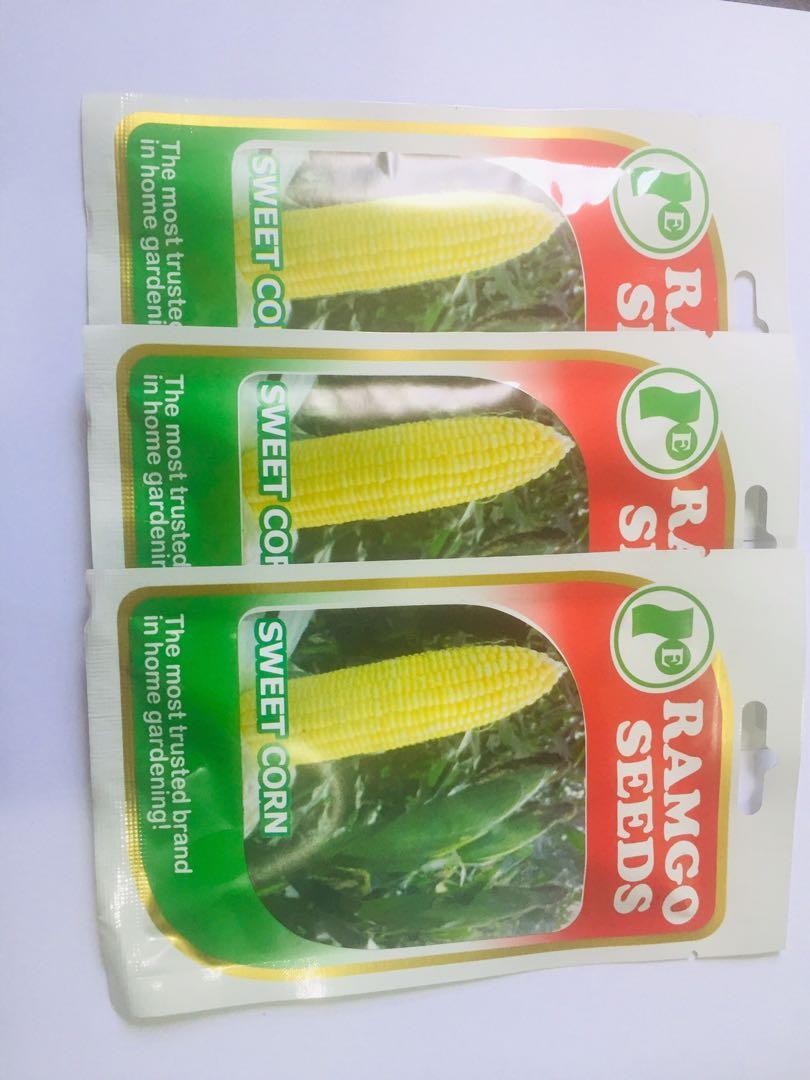 Ramgo Sweet Corn seeds (Category: Plants & Seeds) located in Navotas City. Submitted by user009x (Listing ID 1077647770, Image 2). Description: Ramgo Sweet Corn seeds Bargain for bulk order Sow before 2023.