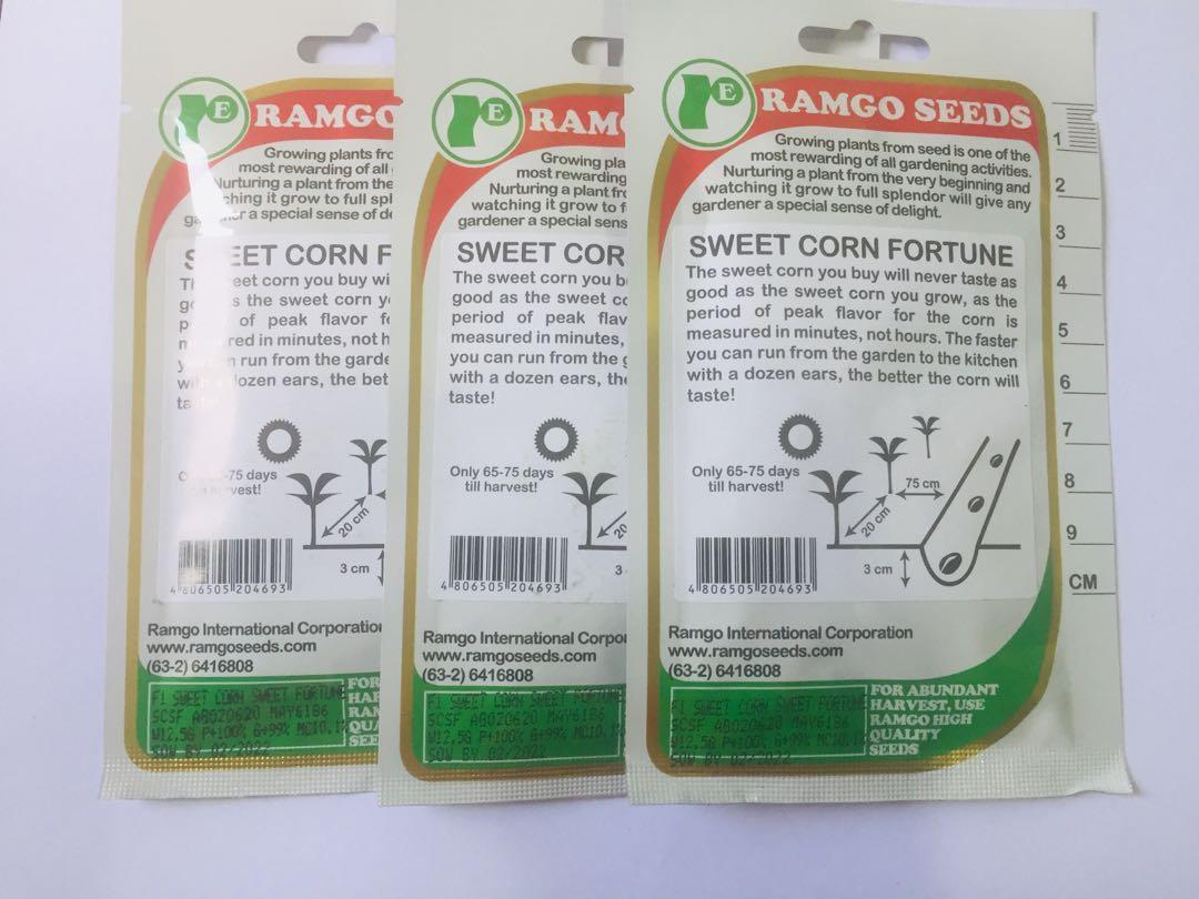 Ramgo Sweet Corn seeds (Category: Plants & Seeds) located in Navotas City. Submitted by user009x (Listing ID 1077647770, Image 3). Description: Ramgo Sweet Corn seeds Bargain for bulk order Sow before 2023.