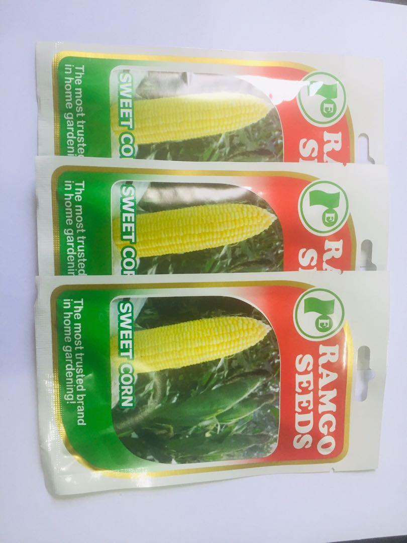 Ramgo Sweet Corn seeds (Category: Plants & Seeds) located in Navotas City. Submitted by user009x (Listing ID 1077647770, Image 1). Description: Ramgo Sweet Corn seeds Bargain for bulk order Sow before 2023.