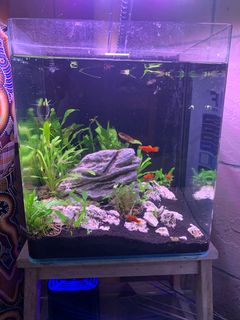 (Category: ) located in . Submitted by avatar45 (Listing ID 1077742562, Image 1). Description: .