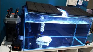 (Category: ) located in . Submitted by rimasam (Listing ID 1077876385, Image 1). Description: .