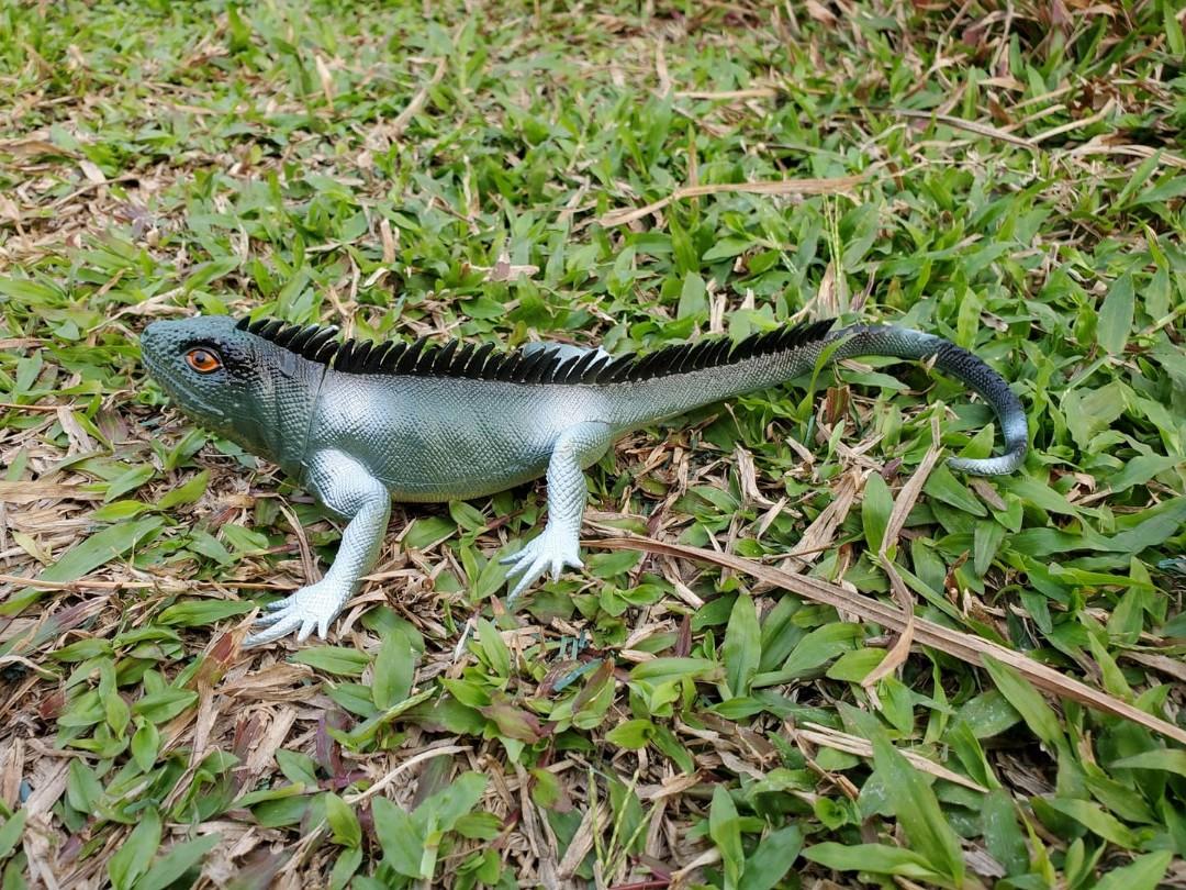 爬蟲類動物模型 變色樹蜥一隻長約22 Cm 現售 49 隻 Changeable Lizard Is Selling At 49 Piece Each Lizard S Length Is Around 22 Cm 玩具 遊戲類 玩具 Carousell