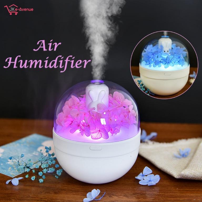 Humidifier diffuser store air purifier