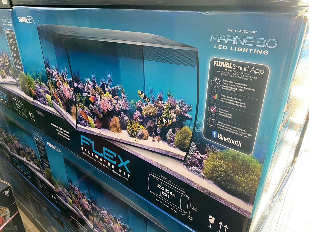 FLUVAL FLEX SALTWATER KIT 123L, Pet Supplies, Homes & Other Pet Accessories  on Carousell