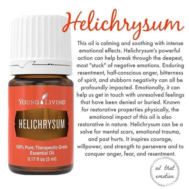 Helichrysum 5ml Furniture Home Living Home Fragrance On Carousell