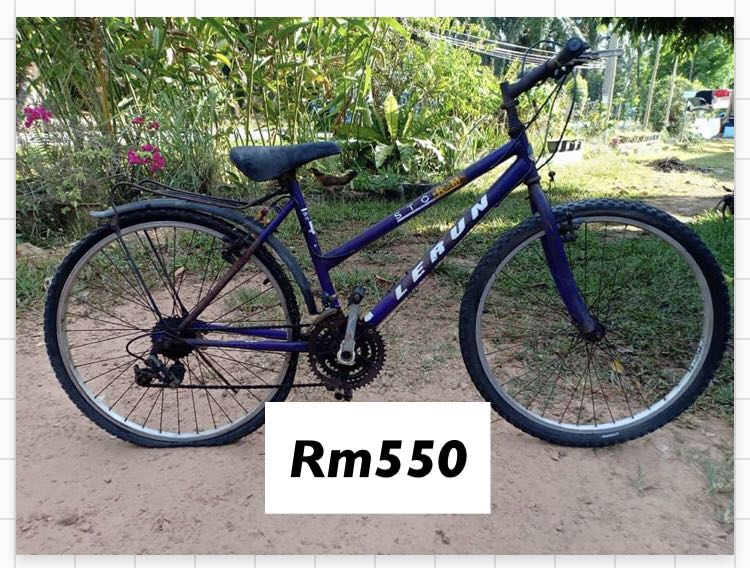 Le run mountain discount bike