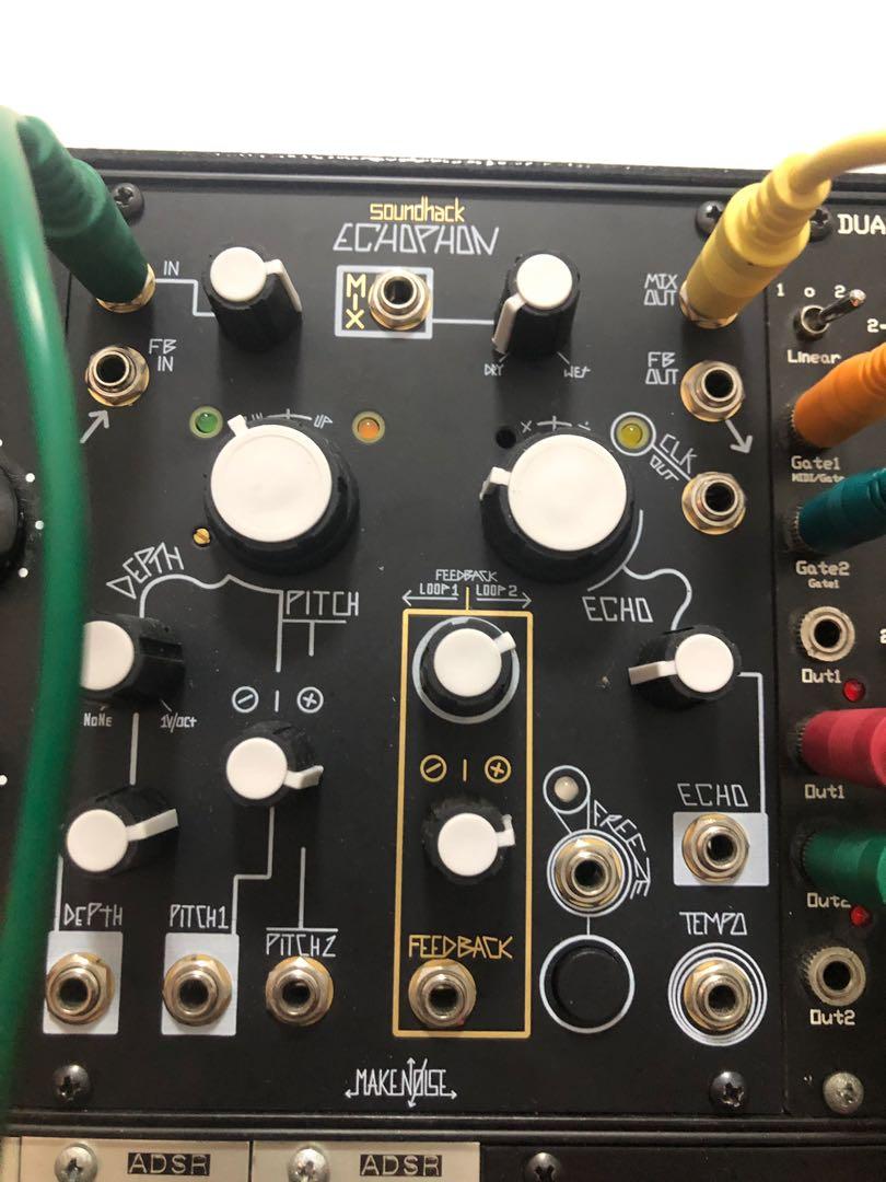 Make noise echophone eurorack, Hobbies & Toys, Music & Media 
