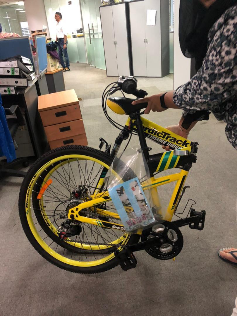 Nordictrack hot sale leisure rider