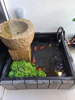 (Category: ) located in . Submitted by locasav (Listing ID 1077754661, Image 1). Description: .