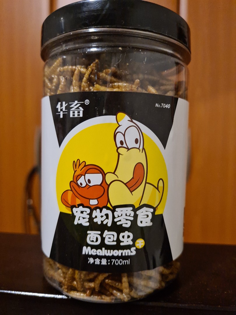 Premium Roasted Mealworm snack, Pet Supplies, Pet Food on Carousell
