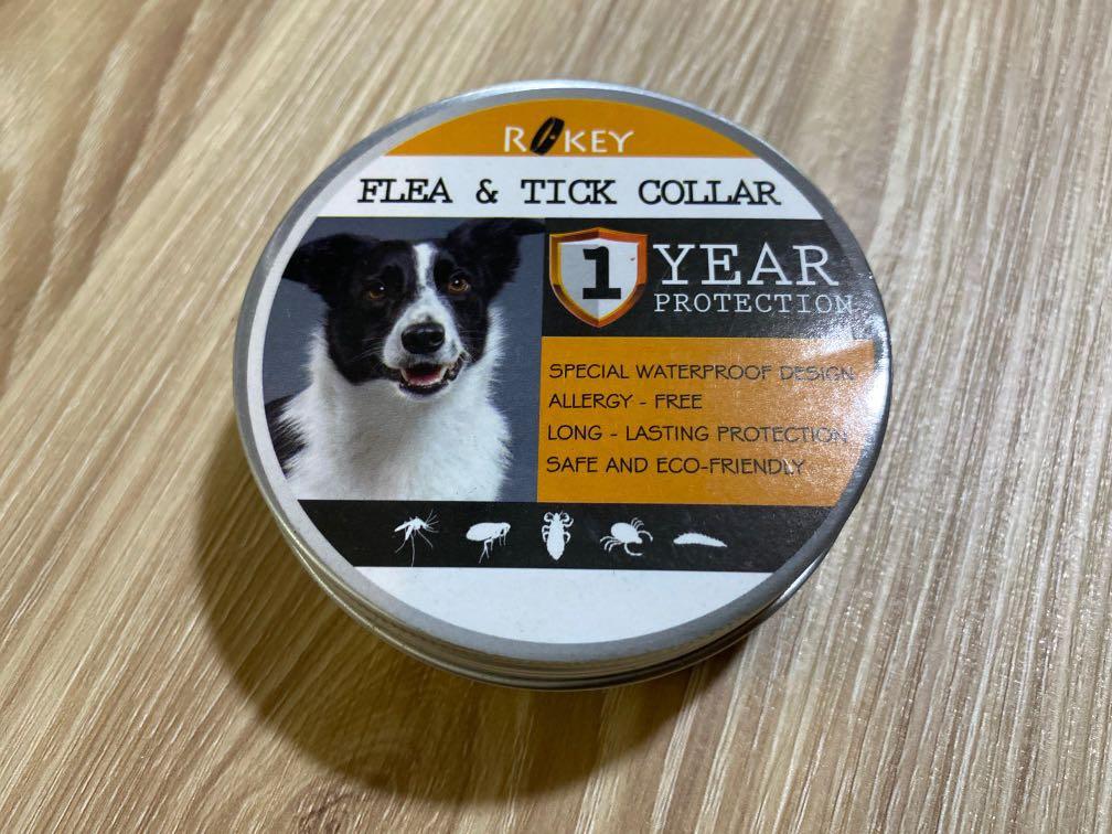 Rokey Flea Ticks Collar for Dog of 7weeks old and above Pet