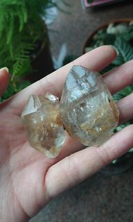 （分類：）位於 。 由 crystal_aurora 提交（商品編號 1078003969，圖片 1）。簡介： 。