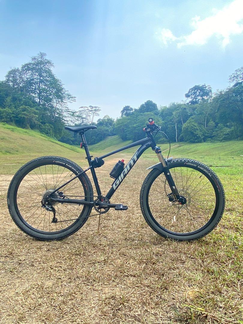 Giant talon cheap 29 3 2021
