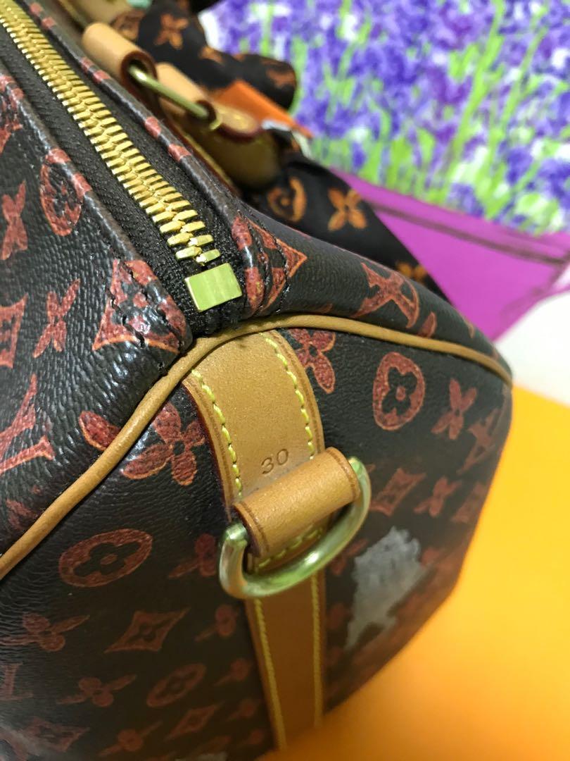 Louis Vuitton Limited Edition Cat LV Speedy 30, Luxury, Bags & Wallets on  Carousell