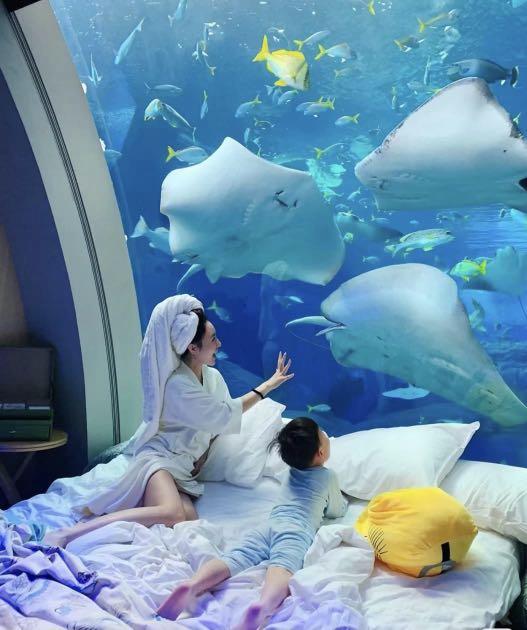 Ocean Suite Equarius Hotel Room Rws Resorts World Sentosa Singapore Add Whatsapp Demo Room Video Tickets Vouchers Local Attractions Transport On Carousell