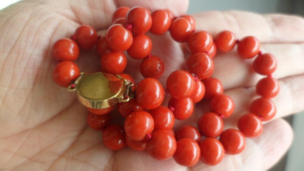 Undyed red coral beads online