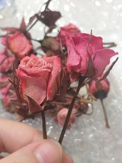 （分類：）位於 。 由 blazep13 提交（商品編號 1078238925，圖片 1）。簡介： 。