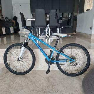 felt q20 mountain bike