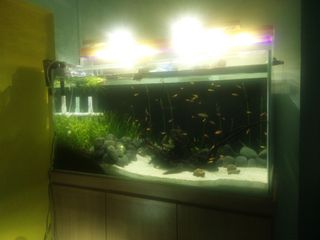 (Category: ) located in . Submitted by simoncxy (Listing ID 1078200619, Image 1). Description: .