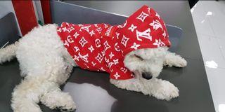 Hoodies for dogs