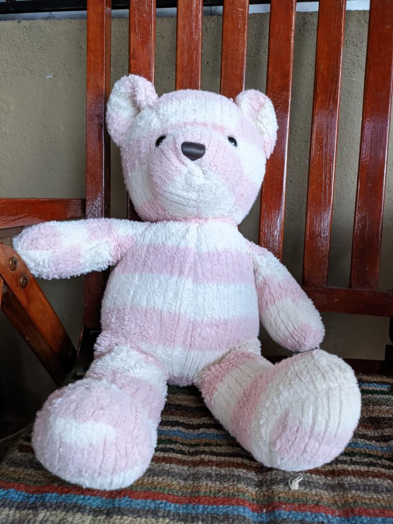 Teddy bear kaison Clearance
