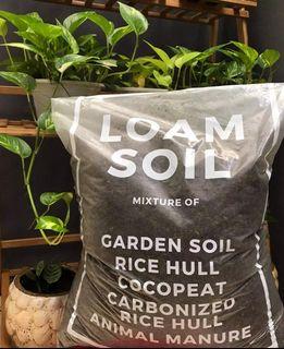 Loam Soil For Plants