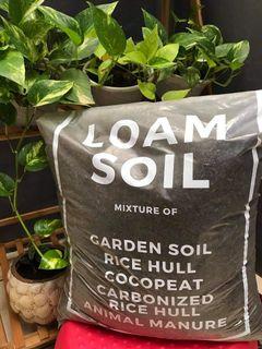 Loam Soil For Plants
