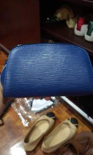 LV Epi pouch
