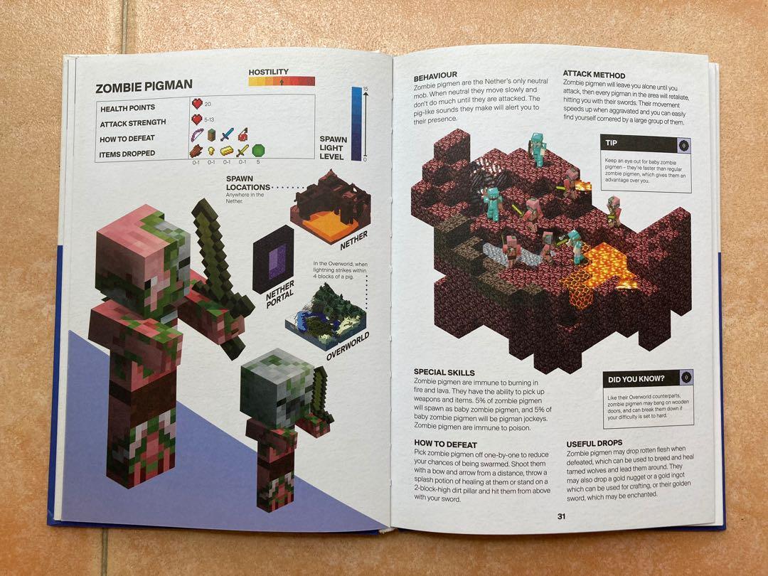 Livre Minecraft - Le Guide Du Nether Et De L'Ender (Mojang) - État Comme Neuf