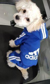 Pet Clothes 1 piece