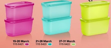 Tupperware Cubix Rectangular Small 250ml/ Small Container/ Food Storage  Box/ Airtight/ Bekas Kecil/ Small Gift/ Cute