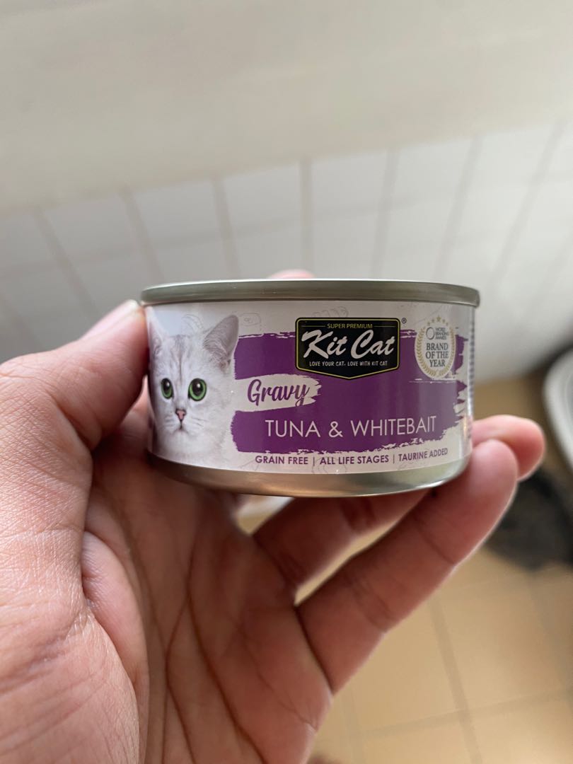 14 cans of cat food, Pet Supplies, Pet Food on Carousell