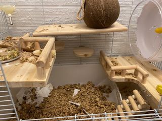 （分類：）位於 。 由 just.for.one 提交（商品編號 1072844077，圖片 1）。簡介： 。