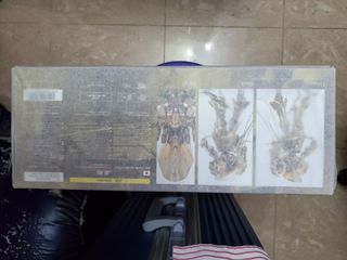 （分類：）位於 。 由 akdalan2011 提交（商品編號 1072752527，圖片 1）。簡介： 。