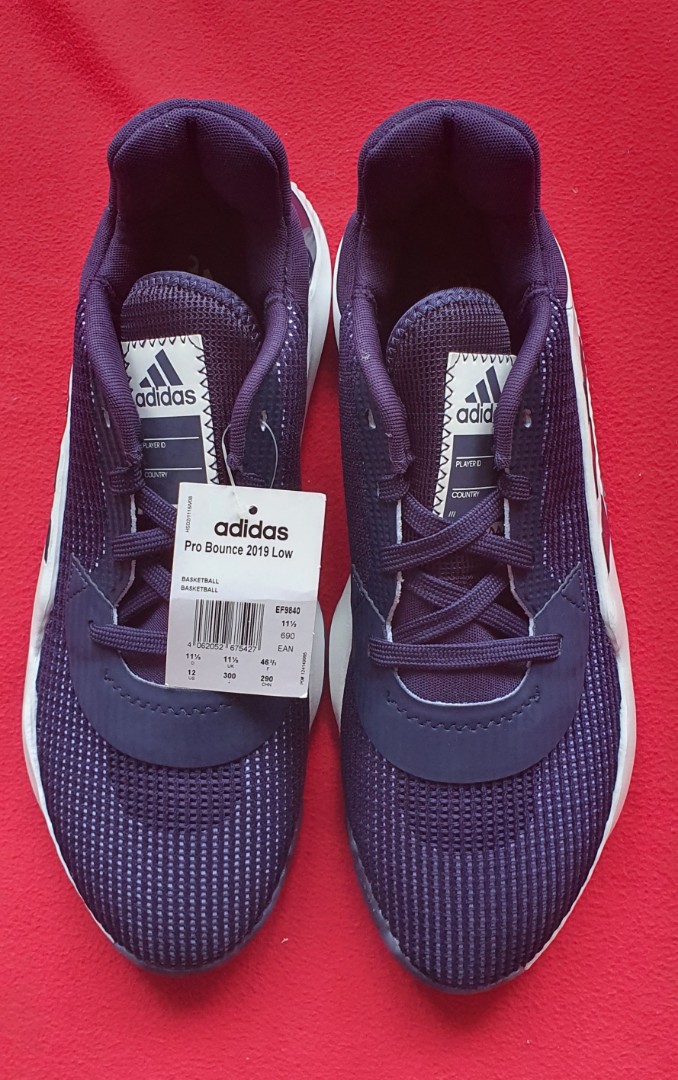adidas pro bounce purple