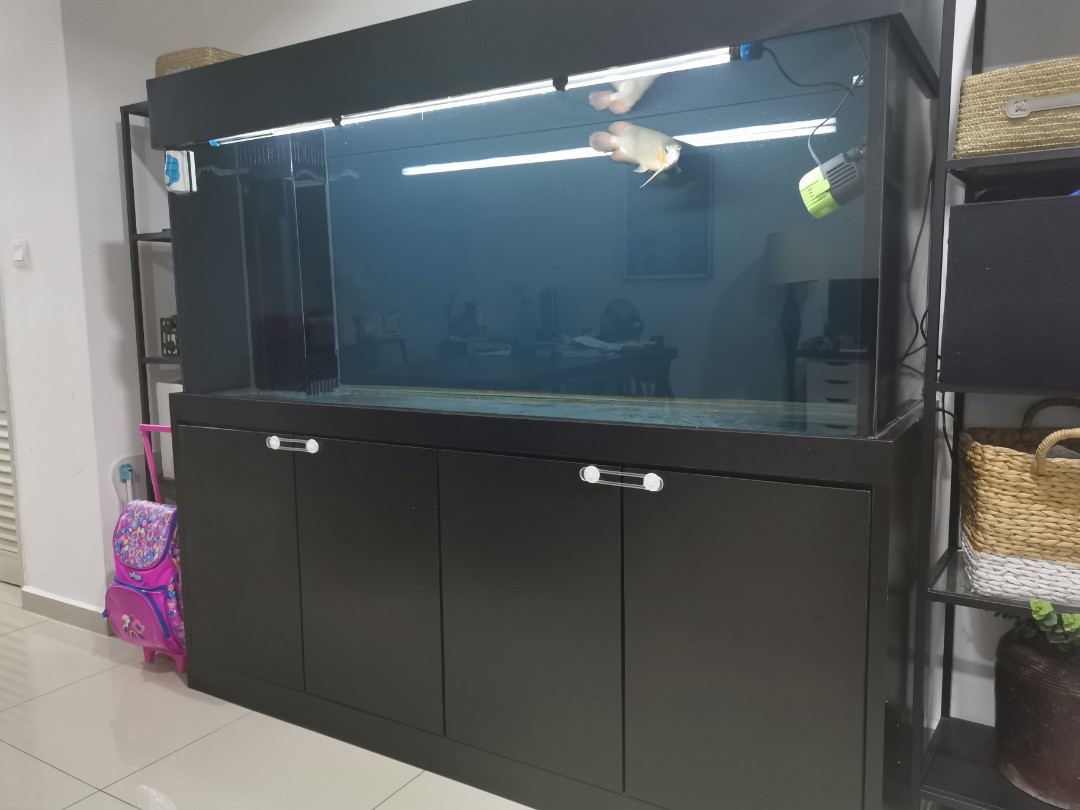 Aquarium 6ft Pet Supplies Homes Other Pet Accessories on Carousell