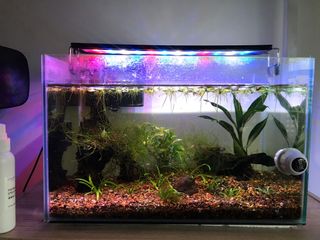 (Category: ) located in . Submitted by shaki94 (Listing ID 1072942443, Image 1). Description: .