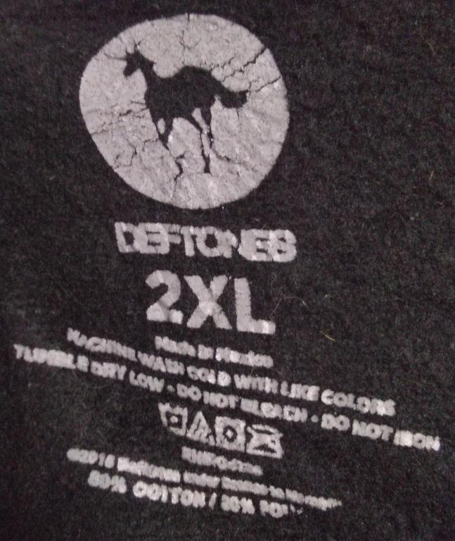 Deftones hotsell champion hoodie