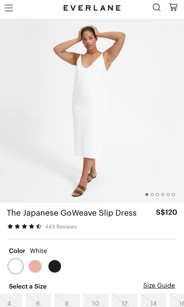 Everlane japanese goweave slip dress outlet
