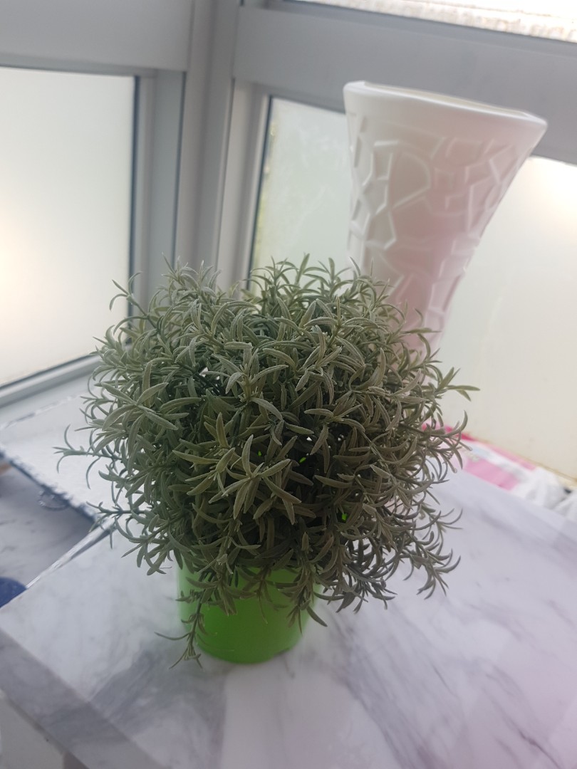 Ikea fake pot plants, Furniture & Home Living, Home Decor, Vases