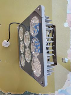 （分類：）位於 。 由 lillyma49 提交（商品編號 1072838056，圖片 1）。簡介： 。