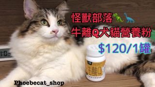 （分類：）位於 。 由 phoebecat_shop 提交（商品編號 1065069885，圖片 1）。簡介： 。